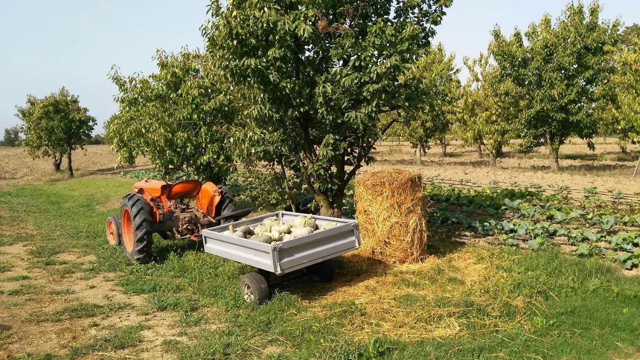 فندق مبيت وإفطار مبيت وإفطار Villanova sull'Arda L'Albero Della Gioia