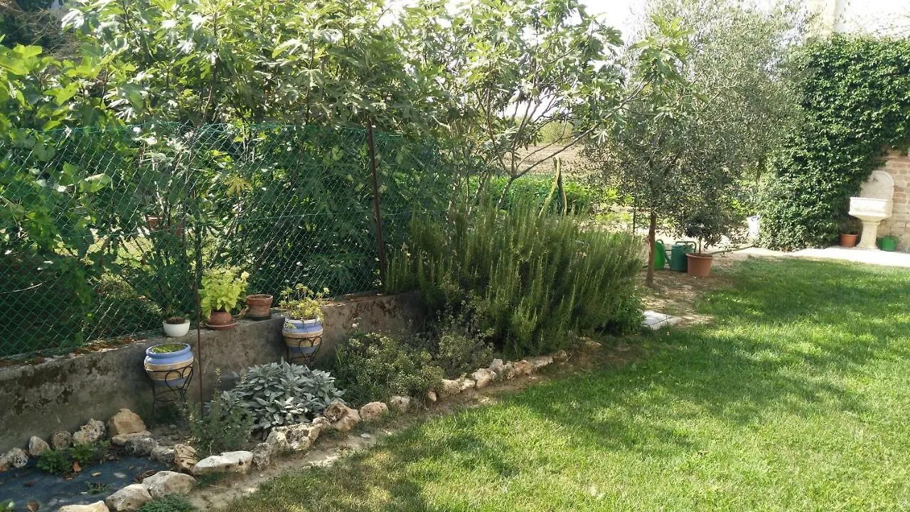 مبيت وإفطار Villanova sull'Arda L'Albero Della Gioia فندق مبيت وإفطار